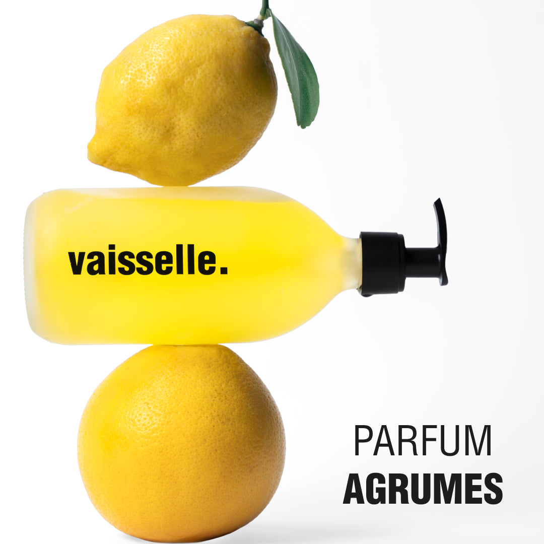 la-marque-en-moins-maison-liquide-vaisselle-poudre-kit-x1 image 4